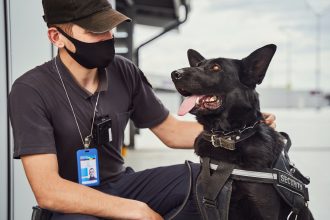 Male security officer with police dog at airport